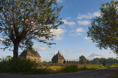 Road by trees on field against sky