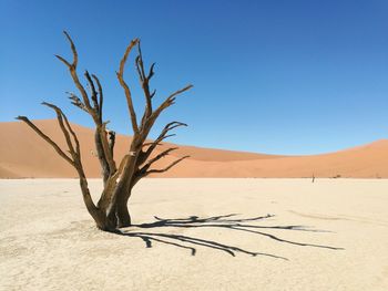 Dead tree on desert against clear sky