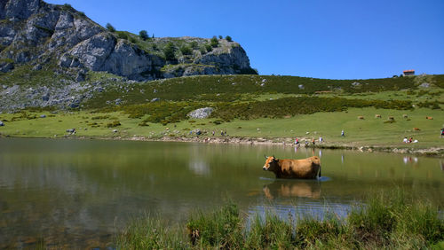 Scenic view of lake against sky