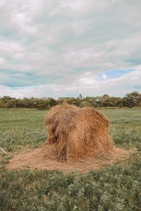 Hay bales on field against sky