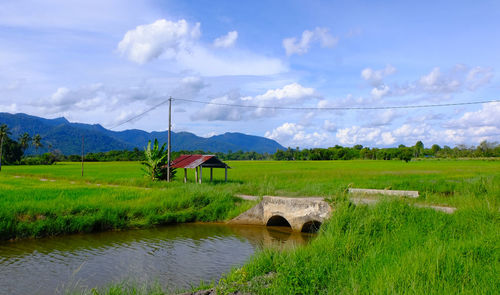 Scenic view of farm against sky