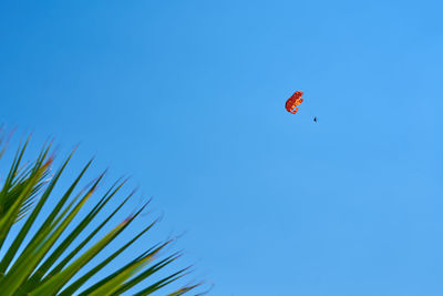 Low angle view of people paragliding against clear blue sky