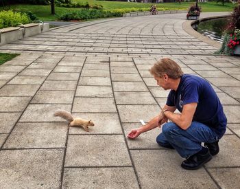A man kneels to feed a shy squirrel in the park