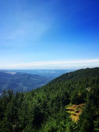 High angle view of landscape