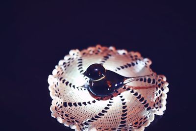 Close-up of ring on table against black background