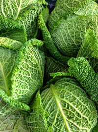 Directly above shot of cabbages at market stall