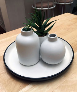 High angle view of potted plant on table