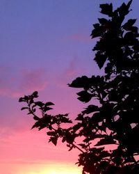 Low angle view of silhouette tree against sky at sunset