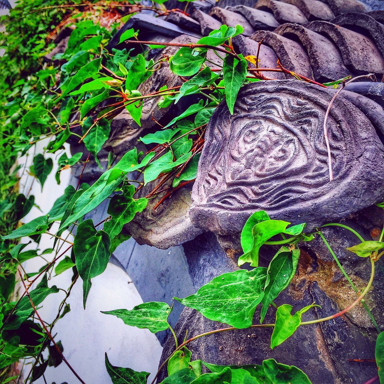 leaf, plant, green color, growth, art, art and craft, nature, sculpture, creativity, day, formal garden, outdoors, close-up, no people, park - man made space, animal representation, pattern, beauty in nature, high angle view, statue