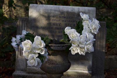 White flowers in graveyard