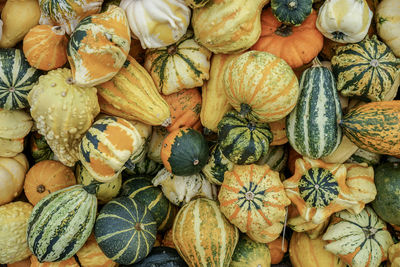 Full frame shot of pumpkins for sale