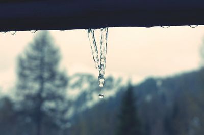 Close-up of water drop against sky