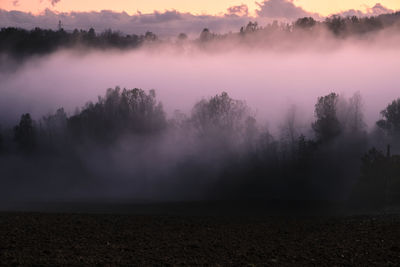 Scenic view of trees on field against sky