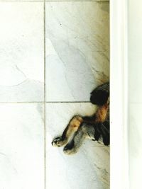 Low section of woman on tiled floor