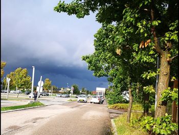 Road by trees against sky