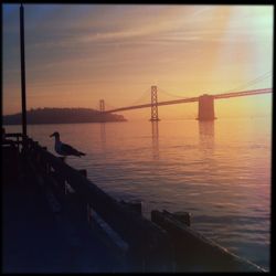 Bridge over sea at sunset