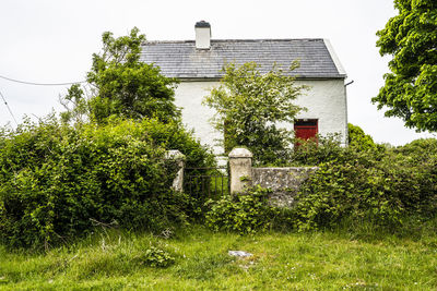 Trees and plants growing on field against building