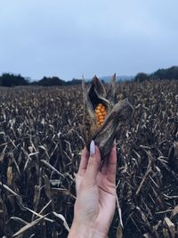 Midsection of person holding umbrella against sky