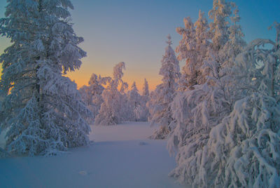 Freezing winter winters wintescolor show arctic 