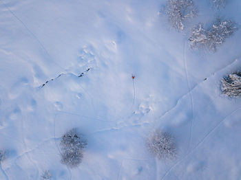 Aerial view of frozen trees on field against sky