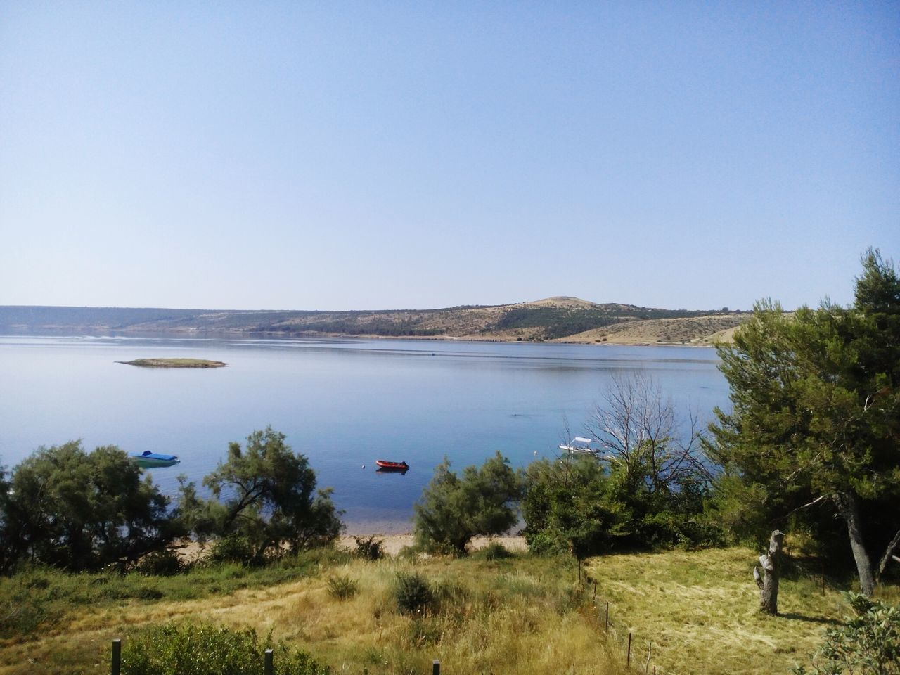 clear sky, copy space, water, tranquil scene, tranquility, tree, scenics, beauty in nature, blue, nature, lake, landscape, grass, growth, sea, idyllic, plant, day, non-urban scene, outdoors