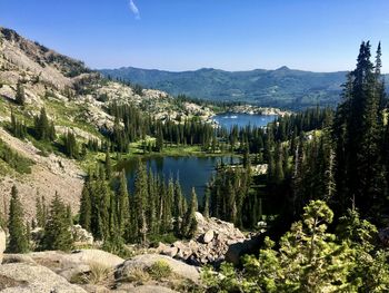 Lake in the forest 