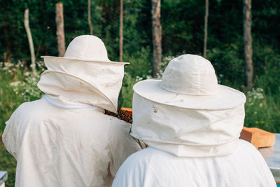 Rear view of beekeepers examining beehive