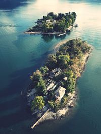 High angle view of tree by sea