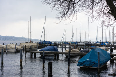 Sailboats moored at harbor