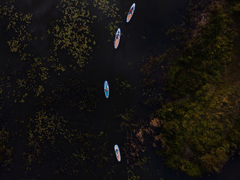 High angle view of person by trees