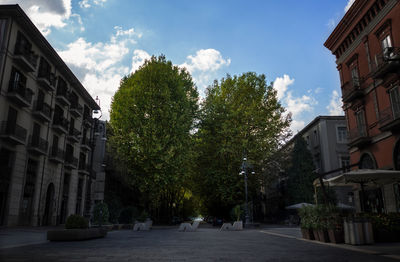 Street amidst trees and buildings against sky