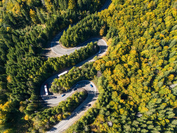 Winding forest road in beautiful autumn colors