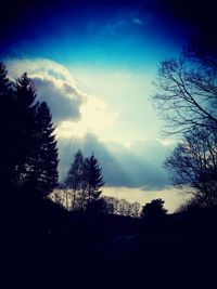 Silhouette trees against sky