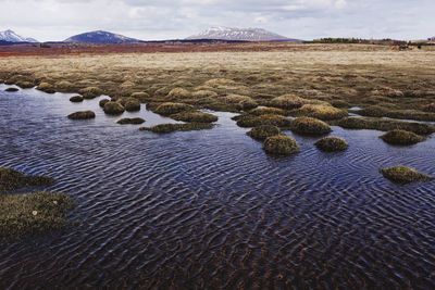 Scenic view of lake