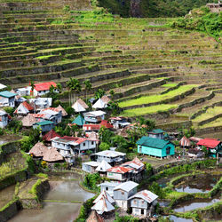 High angle view of houses in village