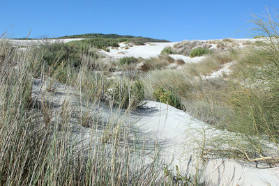 Scenic view of land against clear sky