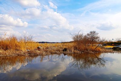 Reflection of tree in lake against sky