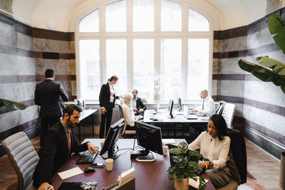 Multiracial female and male colleagues working at desks in law office