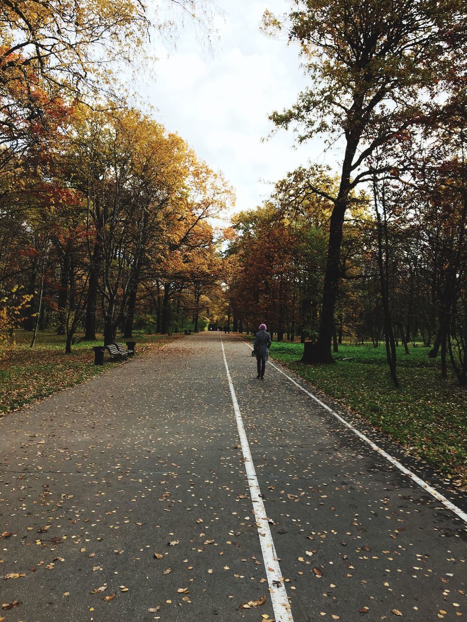 tree, autumn, leisure activity, lifestyles, park - man made space, change, growth, the way forward, tranquil scene, nature, tranquility, tree trunk, park, day, branch, outdoors, distant, scenics, beauty in nature, green color