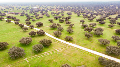 High angle view of farms