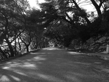 Road amidst trees in forest