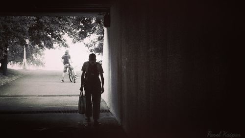 Rear view of people walking on footpath amidst trees