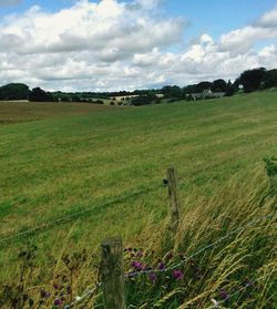 Scenic view of grassy field against cloudy sky