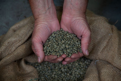 Close-up of hand holding coffee beans 