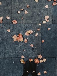 Low section of person standing by fallen leaves on footpath