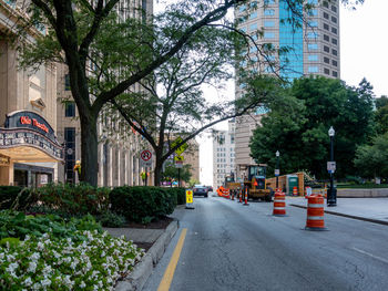 Road by trees and buildings in city