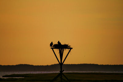 Silhouette birds in nest against clear orange sky