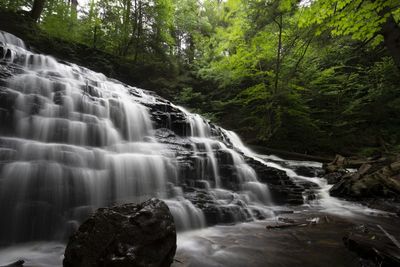 Scenic view of waterfall in forest