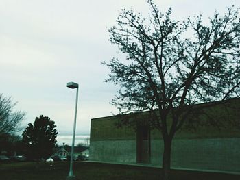 Low angle view of bare trees against sky