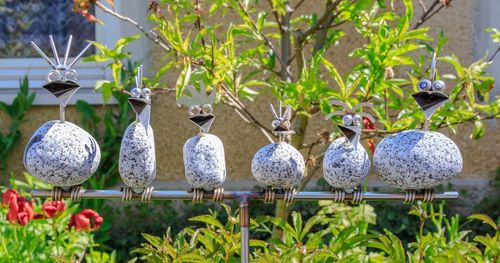 Close-up of birds on tree